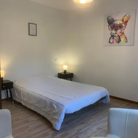 Apartament Le Cocon En Hyper Centre *